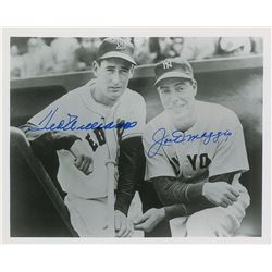 Ted Williams and Joe DiMaggio