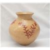 Image 2 : Mexican Hidalgo Red on Buff Pottery Jar