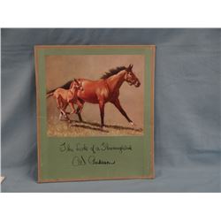 C.W. Anderson portfolio,  The Look of a Thoroughbred, 8 prints, all 11" x 13", ca 1963