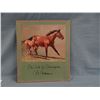 Image 1 : C.W. Anderson portfolio,  The Look of a Thoroughbred, 8 prints, all 11" x 13", ca 1963