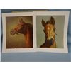 Image 2 : C.W. Anderson portfolio,  The Look of a Thoroughbred, 8 prints, all 11" x 13", ca 1963