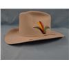 Image 1 : Stetson 4X beaver cowboy hat, size 7-1/8 silver belly