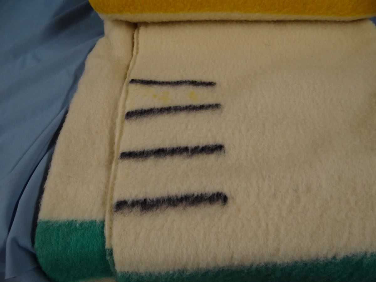 Hudson Bay Pendleton 4 Point Wool Blanket Made In England