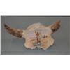 Image 1 : Jess Gleason, oil on buffalo skull, Hunter's Prayer, 1970, 11" x 10"