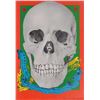 Image 1 : Grateful Dead Denver Colorado Poster