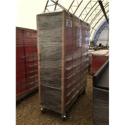 PROMASTER 22 DRAWER STEEL CABINET W/ CASTORS