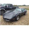 Image 1 : 1981 CHEVROLET CORVETTE CAR