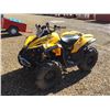 Image 1 : 2007 CAN-AM RENEGADE 800 ATV