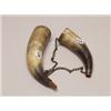 Image 1 : Two Antique Powder Horns