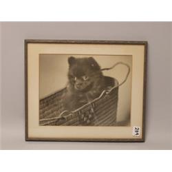 Vintage Photo