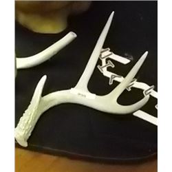 DEER ANTLERS - 4 PT