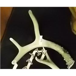 DEER ANTLERS - 3 PT