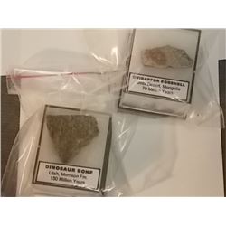GENUINE DINOSAUR ARTIFACTS - 70 MILLION YEAR OLD DINOSAUR EGG SHELL & 150 MILLION YEAR OLD DINOSAUR 