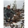 Image 2 : 5-Day Vancouver Island Col. Blacktail Hunt With Vancouver Island Guide Outfitters