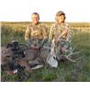Image 3 : 4-Day Alberta Mule/Whitetail Hunt With Lost Creek Outfitters