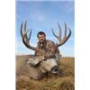 Image 5 : 4-Day Alberta Mule/Whitetail Hunt With Lost Creek Outfitters