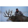 Image 8 : 4-Day Alberta Mule/Whitetail Hunt With Lost Creek Outfitters