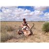 Image 3 : 3-Day Hudspeth County Texas Pronghorn Hunt With Dr. Dan McBride