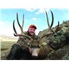 Image 2 : 5-Day Colorado Mule Deer Hunt With Whitaker Brothers Hunting Co/Worldwide Trophy Adventures