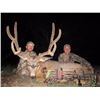 Image 3 : 5-Day Colorado Mule Deer Hunt With Whitaker Brothers Hunting Co/Worldwide Trophy Adventures