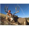 Image 5 : 5-Day Colorado Mule Deer Hunt With Whitaker Brothers Hunting Co/Worldwide Trophy Adventures