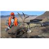 Image 7 : 5-Day Colorado Mule Deer Hunt With Whitaker Brothers Hunting Co/Worldwide Trophy Adventures