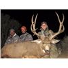 Image 9 : 5-Day Colorado Mule Deer Hunt With Whitaker Brothers Hunting Co/Worldwide Trophy Adventures