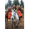Image 6 : 8-Day Canada Moose & Wolf Hunt With NW Big Game Outfitters Ltd