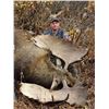Image 7 : 8-Day Canada Moose & Wolf Hunt With NW Big Game Outfitters Ltd