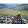 Image 10 : 10-Day Yukon Dall's Sheep Hunt With Ruby Range Outfitters