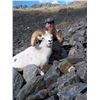 Image 11 : 10-Day Yukon Dall's Sheep Hunt With Ruby Range Outfitters
