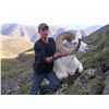 Image 1 : 10-Day Yukon Dall's Sheep Hunt With Ruby Range Outfitters