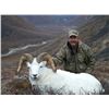 Image 3 : 10-Day Yukon Dall's Sheep Hunt With Ruby Range Outfitters
