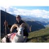 Image 5 : 10-Day Yukon Dall's Sheep Hunt With Ruby Range Outfitters