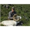 Image 6 : 10-Day Yukon Dall's Sheep Hunt With Ruby Range Outfitters