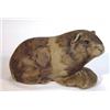 Image 1 : Poole pottery Barbara Lynley Adams seated guinea pig, impressed marks to base, 14cm in length