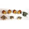 Image 1 : Selection of hand painted Wade hedgehog and turtle Whimsies