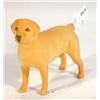 Image 1 : Hand painted Beswick standing Labrador, marks to base, 10cm high