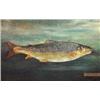 Image 1 : Unframed oil onto card study of a trout, Alan Chrismas 1934, 19cm x 30cm