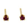 Image 1 : 14KT Yellow Gold Ruby Stud Earrings