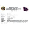 Image 2 : 8.29ctw Fancy Ruby Parcel