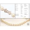 Image 1 : #2-STERLING SILVER PEARL NECKLACE W/ COA