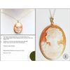 Image 1 : #17-14K YELLOW GOLD SHELL CAMEO NECKLACE W/ COA