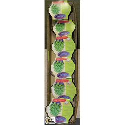 BOX OF 6 BUCKET OF HERBS -SWEET BASIL