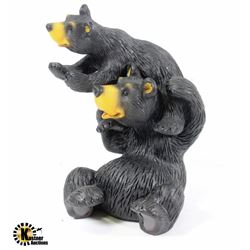 THE APPRENTICE BEARS FISHING FROM THE BEAR TIME