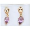 Image 1 : #45-10KT GOLD AMETYHST EARRINGS