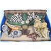 Image 1 : BOX OF JUNGLE ROOM DECOR INCL.DISPLAY SHELF,LIONS,