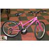Image 1 : GIRLS 21 SPEED TRIUMPH MOUNTAIN BIKE