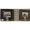 Image 1 : 2 FRAMED JUNGLE PICTURES INCL ELEPHANT &LEOPARD