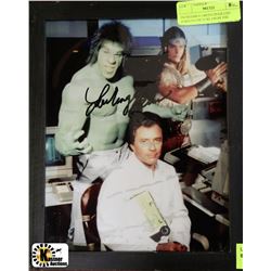 INCREDIBLE GREEN HULK LOU FORIGNO PICTURE FROM THE